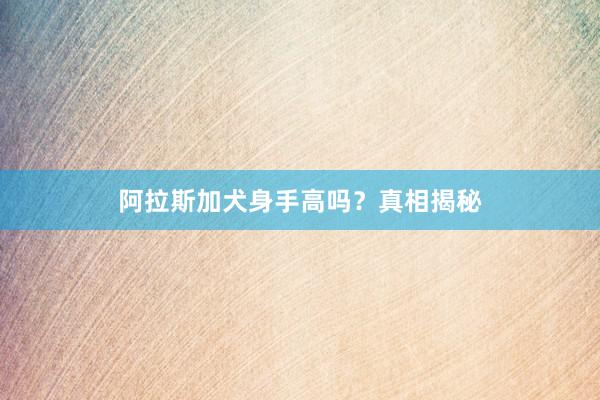 阿拉斯加犬身手高吗？真相揭秘