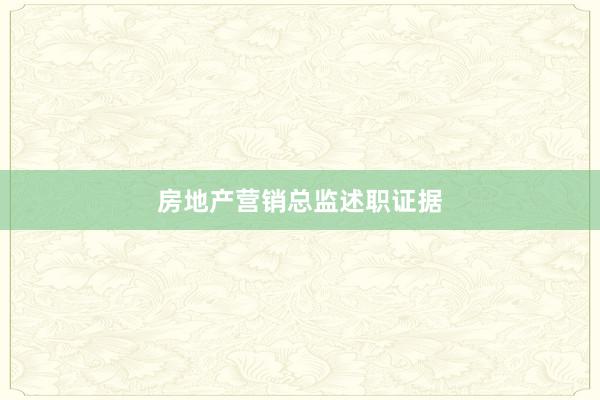 房地产营销总监述职证据